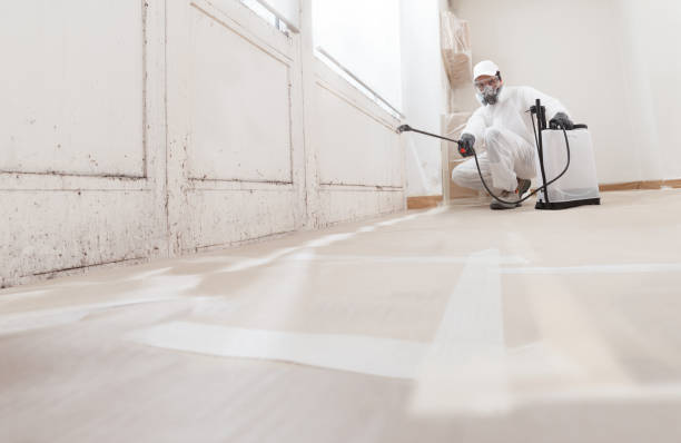 24/7 Emergency Basement Mold Remediation experts in Allport, PA